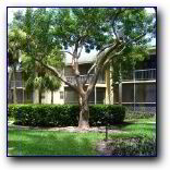 Fort Lauderdale Apartment Rental FL208